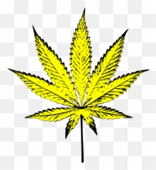 Yellow Pot Leaf Transparent Background - Weed Yellow Clipart Emoji,Pot Leaf Emoji