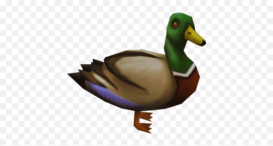 Drake - The Runescape Wiki Emoji,Duck Emoticon