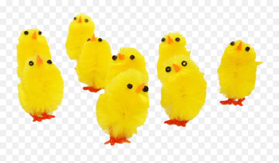 Easter Chick Png U0026 Free Easter Chickpng Transparent Images - Easter Chicks Png Emoji,Easter Bunny Emoticon Free