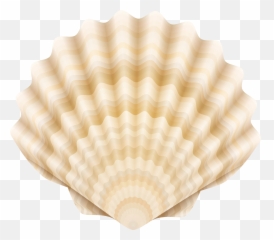 Clam Shell - Cockle Emoji,Clamshell Emoji