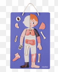 Mieredu - Mieredu Body And Emotions Emoji,Emotion Code Magnets