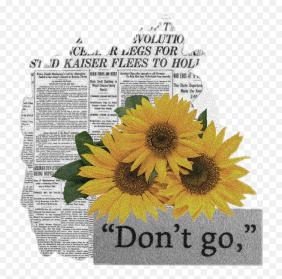 Flowers Sunflower Newspaper Words Sticker By Ouch - Sunflower Thank You Stickers Emoji,Ouch Emoji