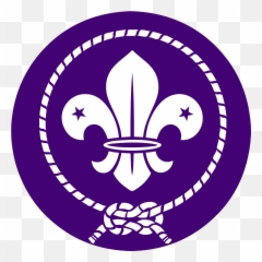 Pin Di Scout - World Scout Logo Emoji,Ovo Emoji Meaning