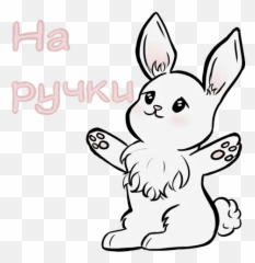Telegram Sticker From Little Bunny Pack Emoji,Black Rabbit Emoji