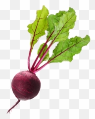 Beets - Transparent Beetroot Png Emoji,Beets Emoji