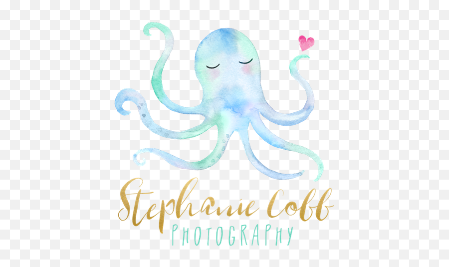 Stephanie Cobb Photography - Common Octopus Emoji,Ocotpus Emotions