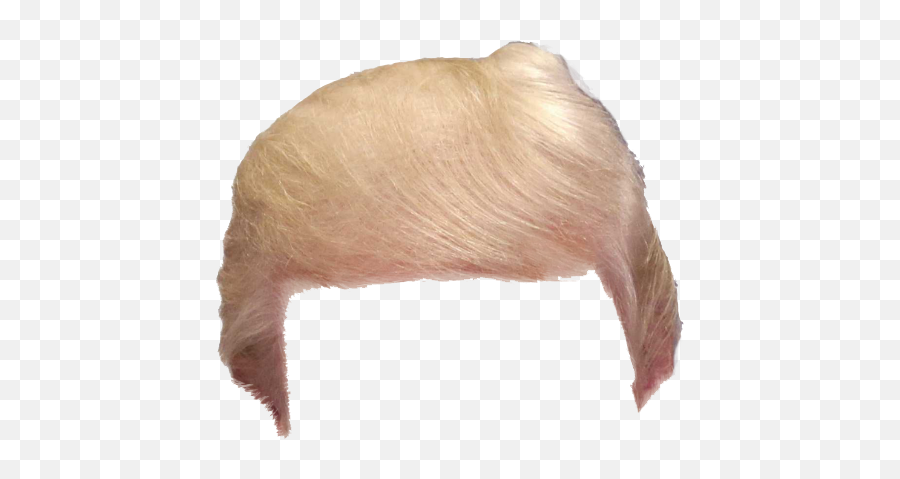 Trump Hair Png - Donald Trump Hair Png Donald Trump Hair Transparent Trump Hair Png Emoji,Trump Hair Emoji