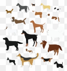 Animal Figure Emoji,Aerosmith Standing On The Corner Tail Bail Sweet Emotion