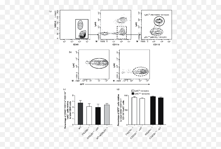 Protective Role Of Cx3cr1 Signalling In Resident Cells Of - Dot Emoji,International Qq Emoticon Package Download