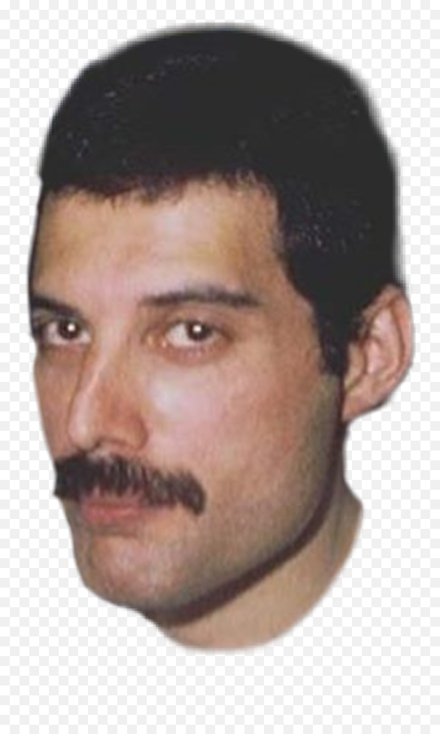 Freddie Mercury Face Png Png Image With - Freddie Mercury Head Transparent Background Emoji,Freddie Mercury Emoticon Facebook