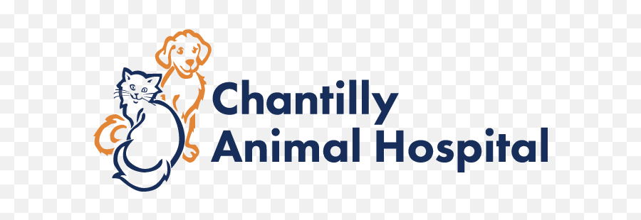 Chantilly Animal Hospital - Industrielle Alliance Emoji,Attribute Human Emotions To Animals