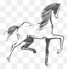 California Equestrian Photographer - Animal Figure Emoji,Horses Emotion Illustration