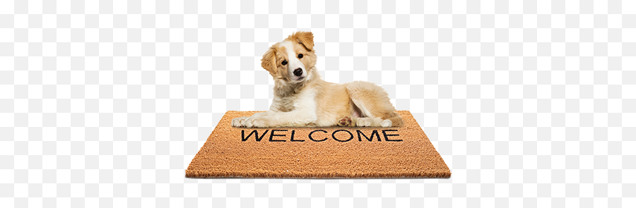 Gilbert Az - Waterstone Mortgage Emoji,Welcome Mat Emoji Fb