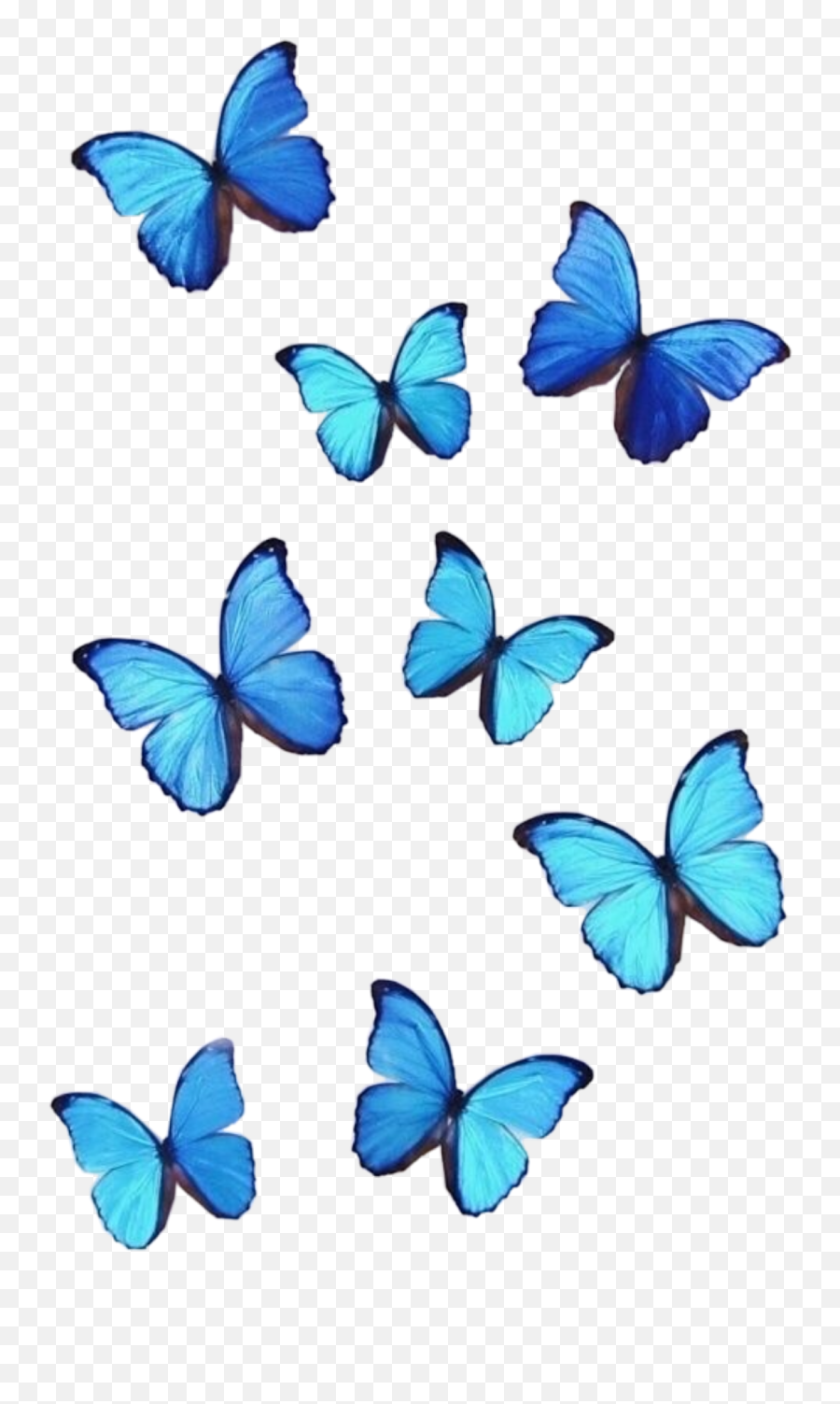 Cute Baby Blue Aesthetic Pictures Butterfly - Jezusjesttu Emoji,Cute Emoticon Butterfly