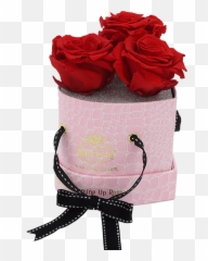 Very Valentine Crocodile Threeu0027s A Charm U2013 Rosepops Emoji,Cocodrile Emoji