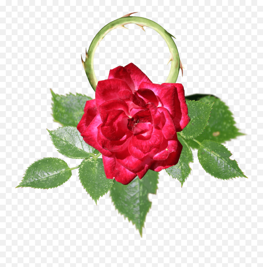 Virtual Love Locks - Create And Customize Your Personal Lovelock Emoji,Flower Uwu Emoji