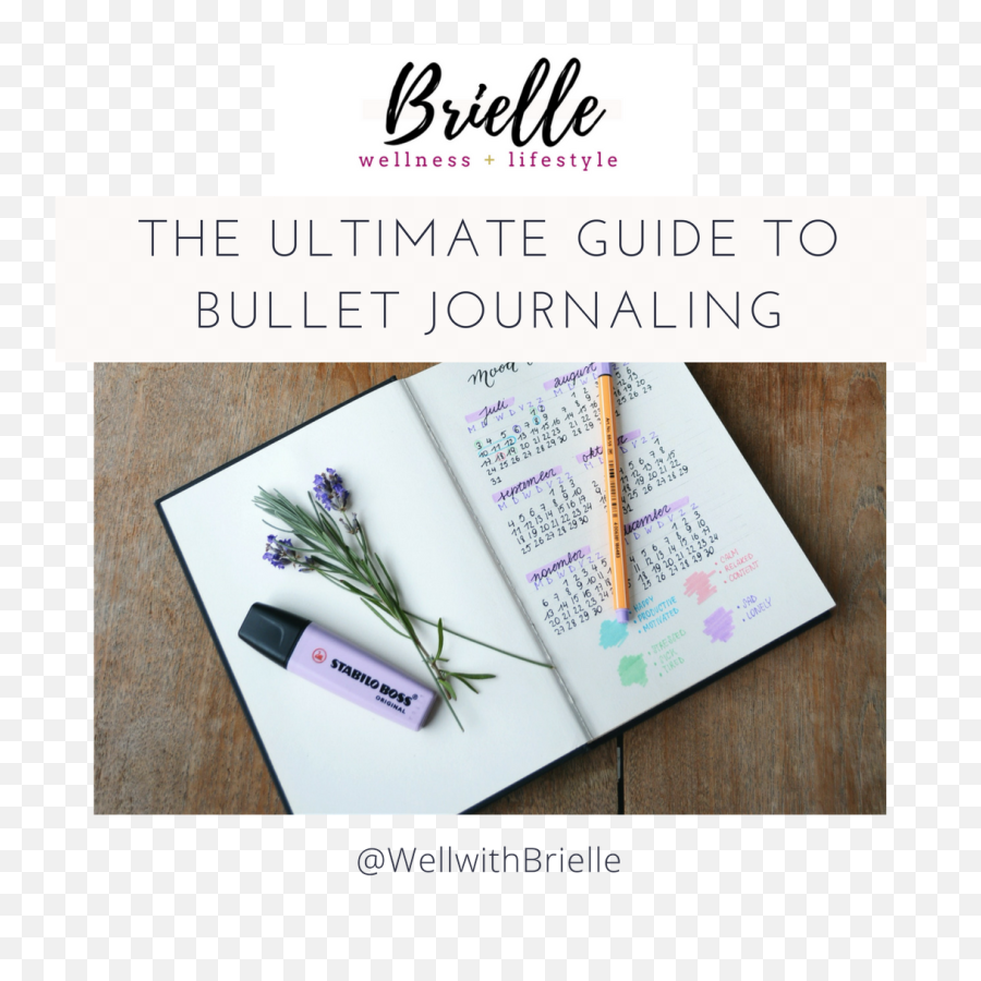 The Ultimate Guide To Bullet Journaling Emoji,Emotion Tracker Bullet Journal