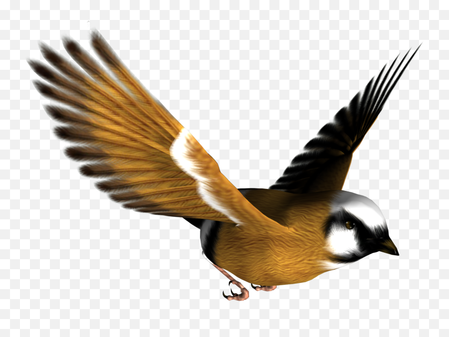Flying Bird Transparent - Small Bird Flying Png Emoji,Flying Bird Emoticon