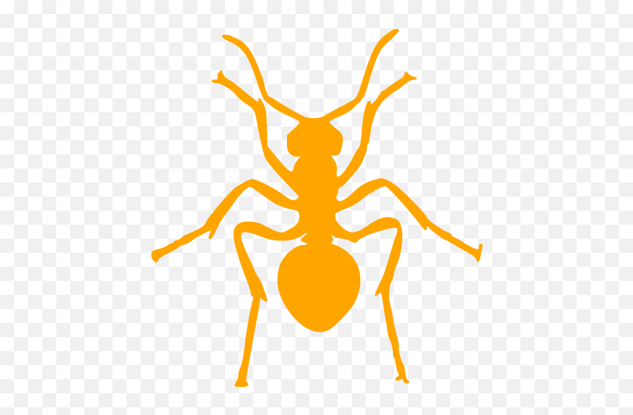 Orange Ant Icon - Insect Ant Drawing Emoji,Ant Emoticon