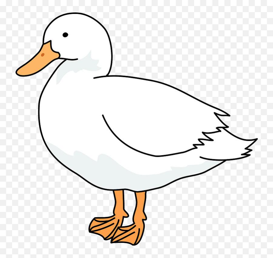 Domestic Duck Clipart - Domestic Duck Clipart Emoji,Canadian Goose Emoji