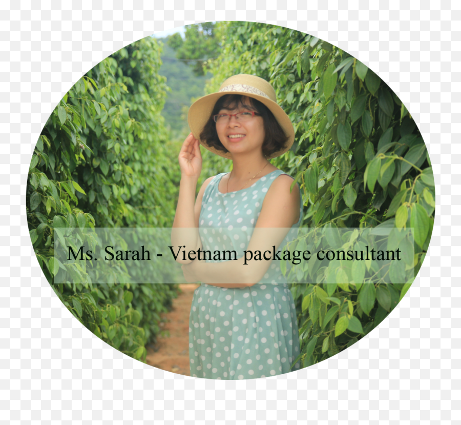 Vietnam Tonkin Travel Halong Bay - People In Nature Emoji,Emotion Halong