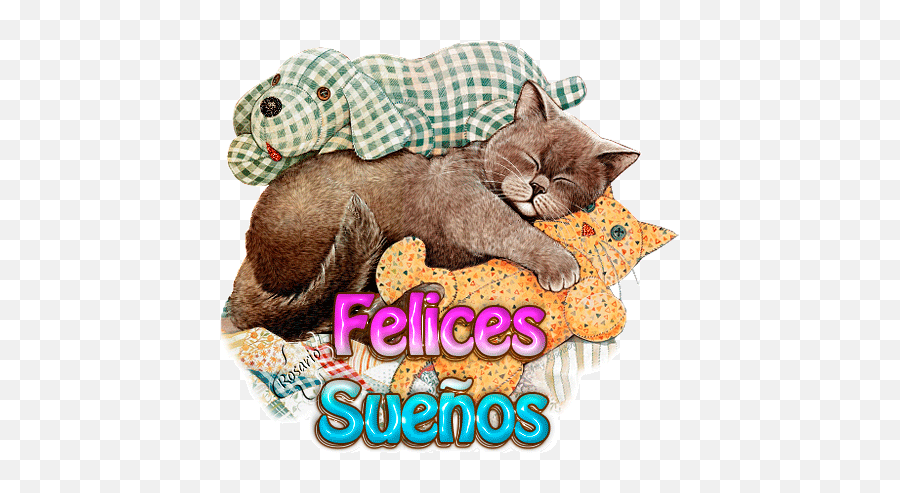 Buenas Noches - Gif De Buenas Noches De Gatitos Emoji,Buenas Noches Con Emojis