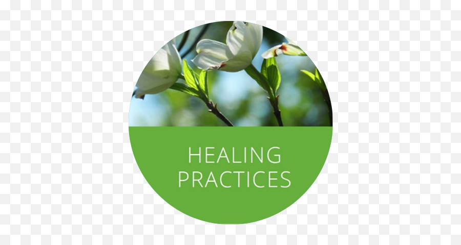 Healing Practices Treasury Of Wisdom - Twig Emoji,Mantra Syllable Emotions
