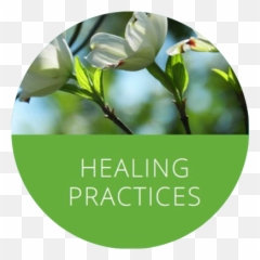 Healing Practices Treasury Of Wisdom - Twig Emoji,Mantra Syllable Emotions