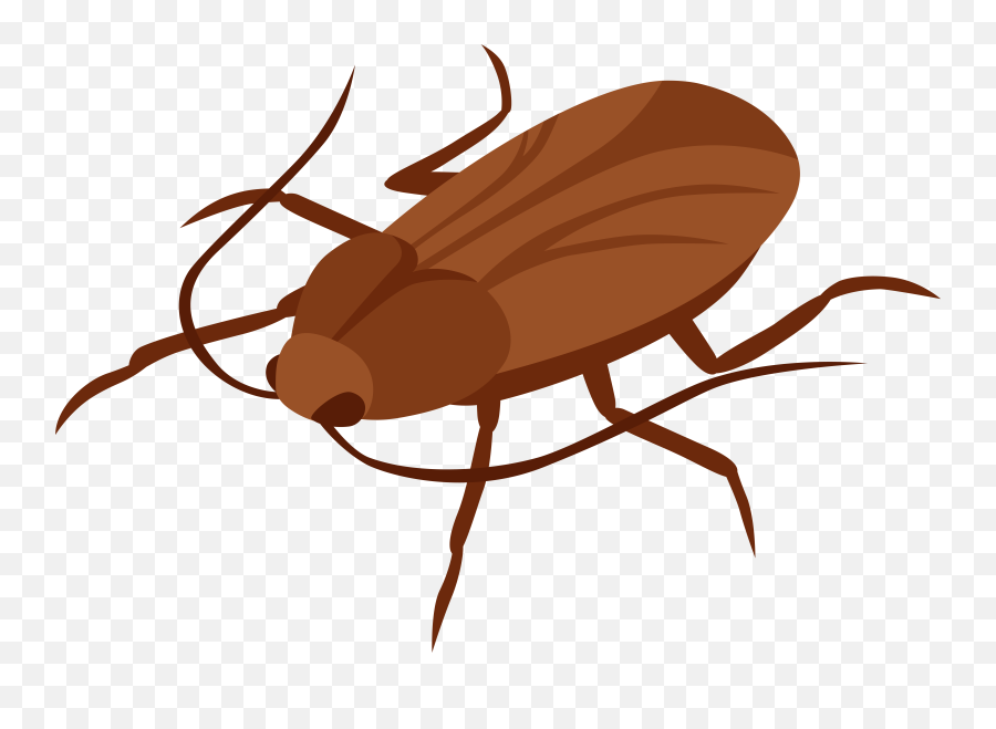 Library Of Cockroach Images Vector - Transparent Background Cockroach Clipart Emoji,How To Get A Roach Emoji