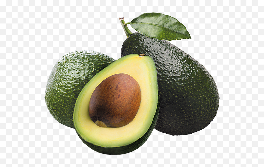 Thyroid Health Dr Will Cole - Avocado Png Emoji,Thyroid Medication And Emotions