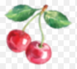 Omas Craft Spirits Emoji,Picture Of A Cherry Emoji