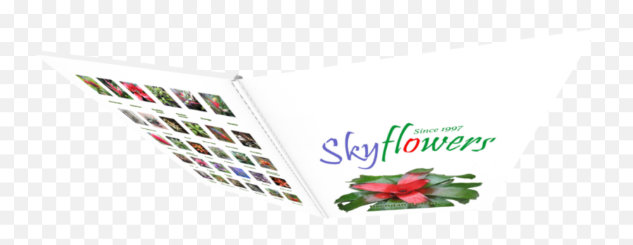 Skyflowers 2021 Product Catalogue Emoji,Emotion Thesaurus Shock
