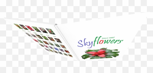 Skyflowers 2021 Product Catalogue Emoji,Emotion Thesaurus Shock