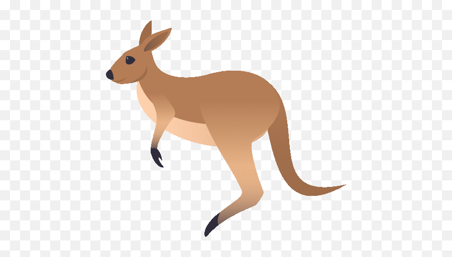 Kangaroo Nature Gif - Kangaroo Emojis,Kangaroo Emoji