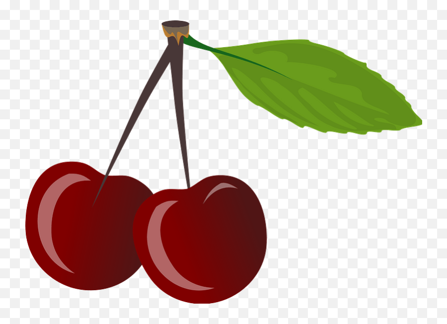 Two Stemmed Cherries Clipart - Ceri Vector Png Emoji,Emoji 3 Cherries