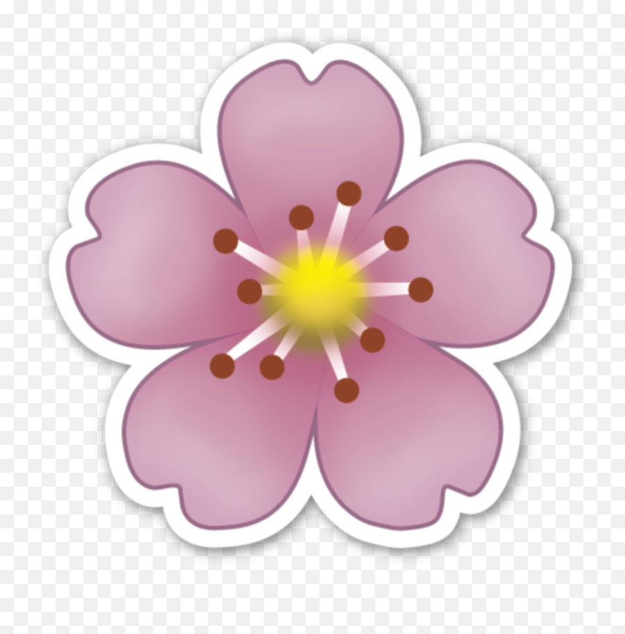 Pirate Skull Emoji Transparent Png - Stickpng Cherry Blossom Emoji,Pirate Emoji