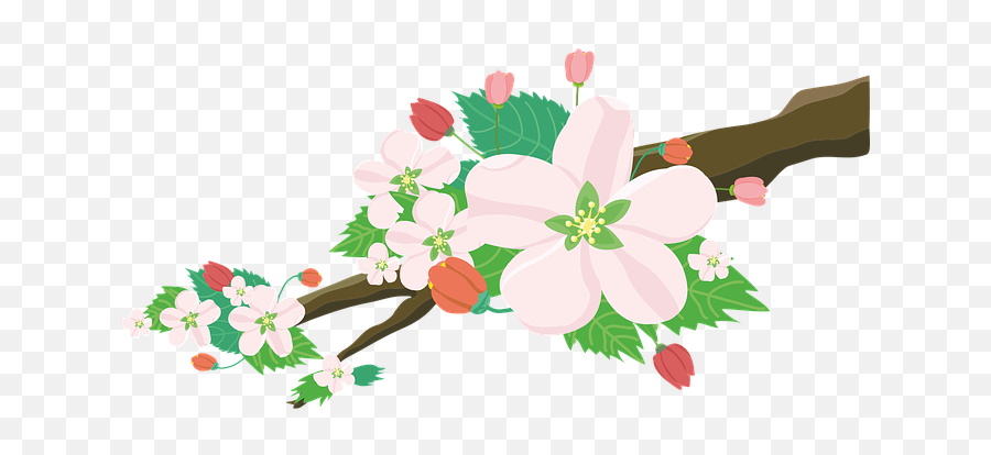Free Garden Flowers Illustrations - Flores E Frutos Png Emoji,Apple Tulip Emoticon