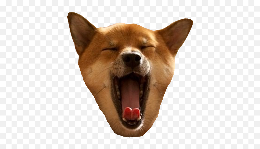 Shiba Dogu0027s Head By Seng Hoong Lim - Dog Head Png Emoji,Shib Inu Emoticon