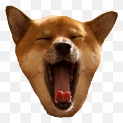 Shiba Dogu0027s Head By Seng Hoong Lim - Dog Head Png Emoji,Shib Inu Emoticon
