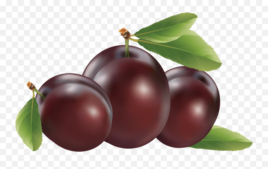 Plum Png Image High Quality U2013 Png Lux Emoji,High Resolution Flower Emoji