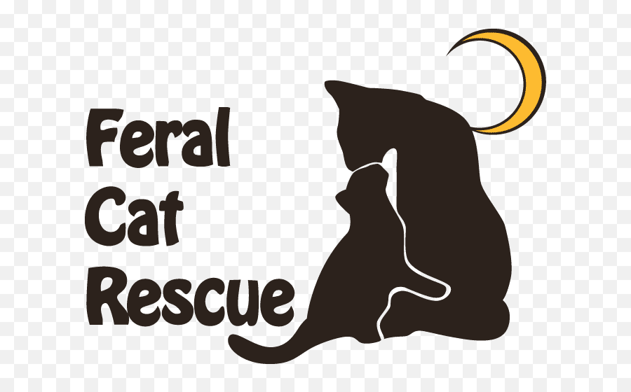 Feral Cat Rescue Inc Emoji,Emotion Leopard Cane Pond