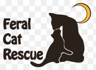 Feral Cat Rescue Inc Emoji,Emotion Leopard Cane Pond