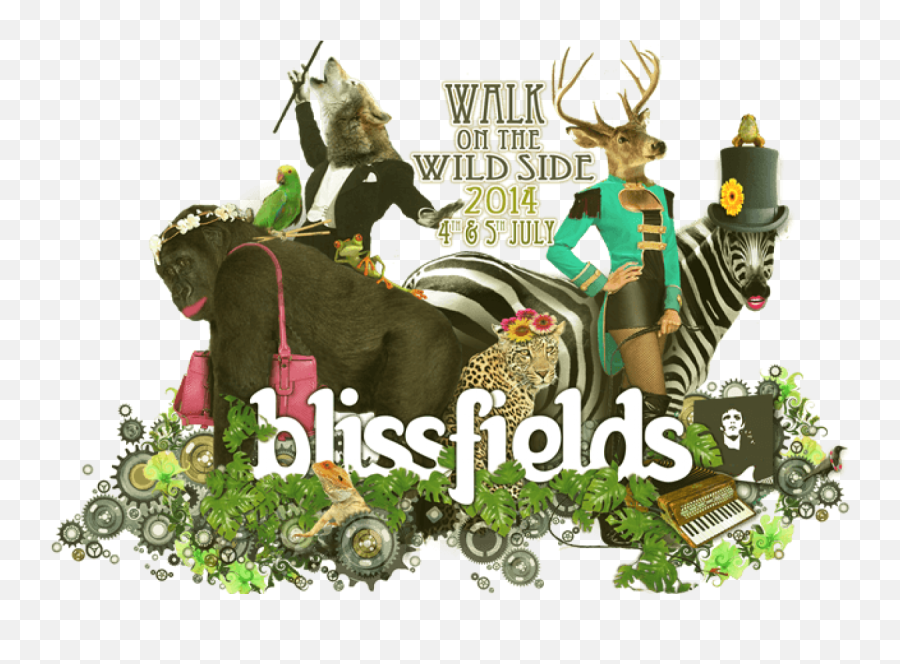 Wildside For Blissfields Festival 2014 Emoji,Emotion Festival