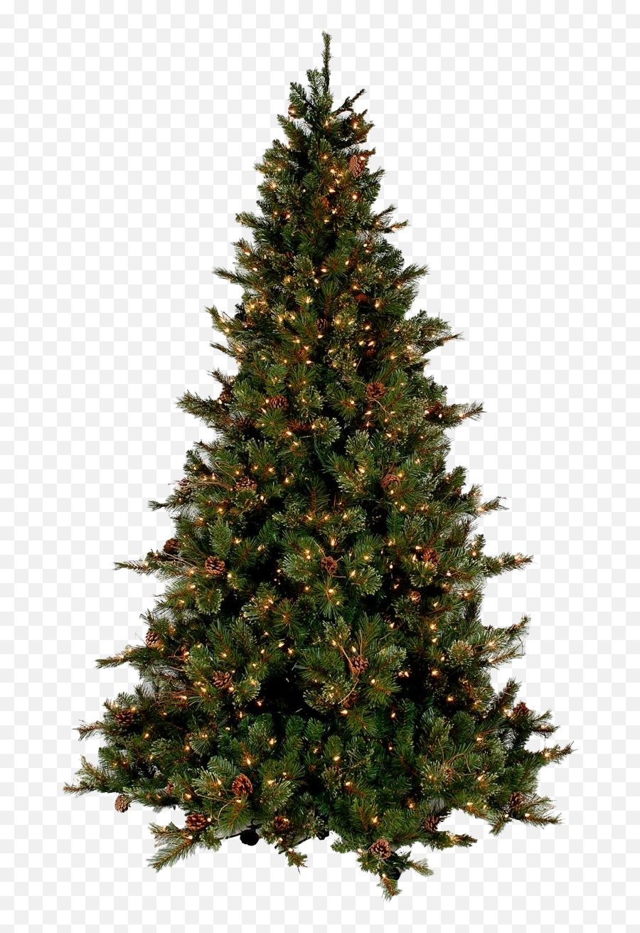 De Navidad Png Con Fondo Transparente - Realistic Christmas Tree Png Transparent Emoji,Emoticon De Pinos