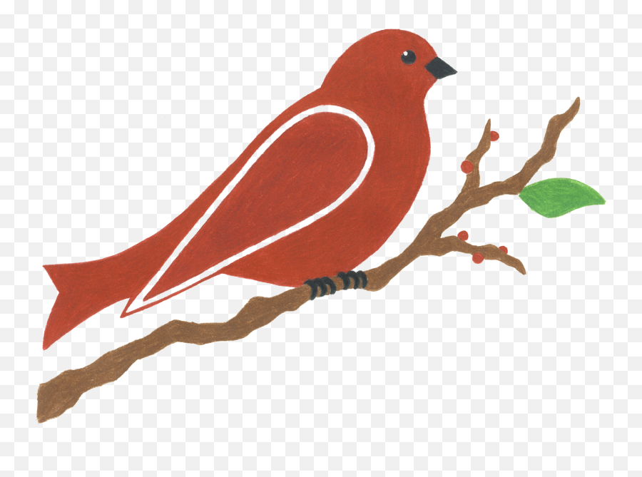 Soil Is Life Red Bird Landscapes - Old World Flycatchers Emoji,Cardinal Bird Facebook Emoticon