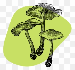 Can You Overdose On Shrooms - Tripsitter Emoji,Grof Emoji