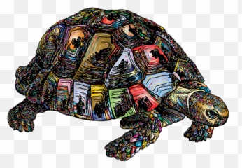 1000 Free Tortoise U0026 Turtle Images Emoji,Tortis Emoji