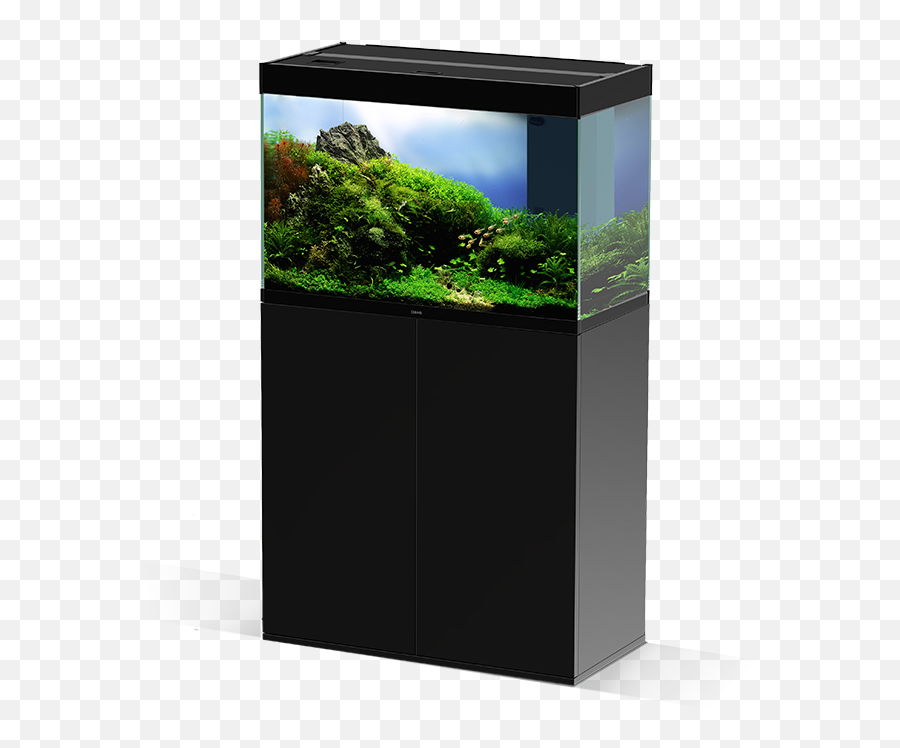 Emotions Pro 80 - Artificial Aquarium Plant Emoji,Produtos Bio Emotion