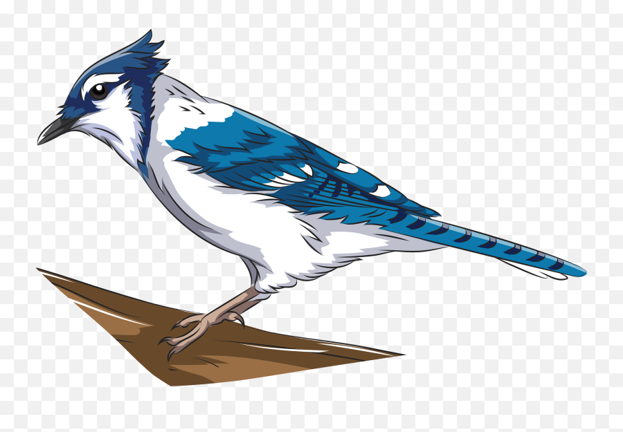 Blue Jay Clipart Free Download Transparent Png Creazilla - Blue Jay Emoji,Puffin Emoji