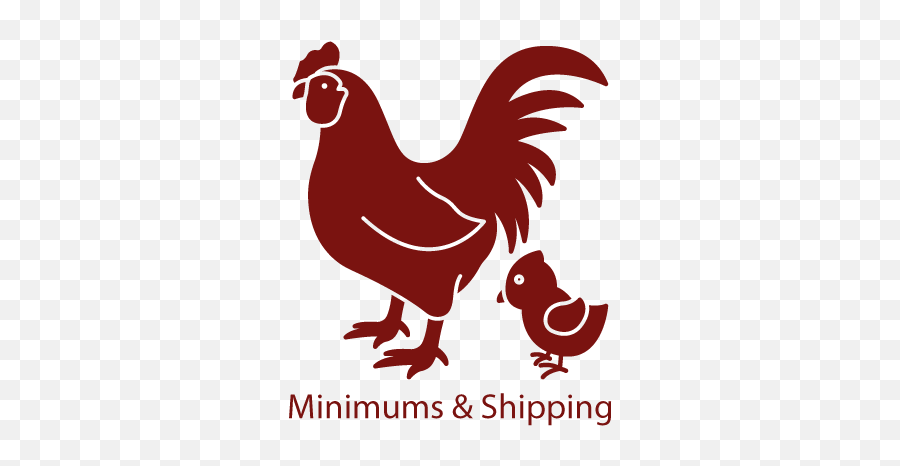 Chicken Hatchery Backyard Chickens For Sale - Valley Simple Rooster Silhouette Emoji,Facebook Emotions Chickens